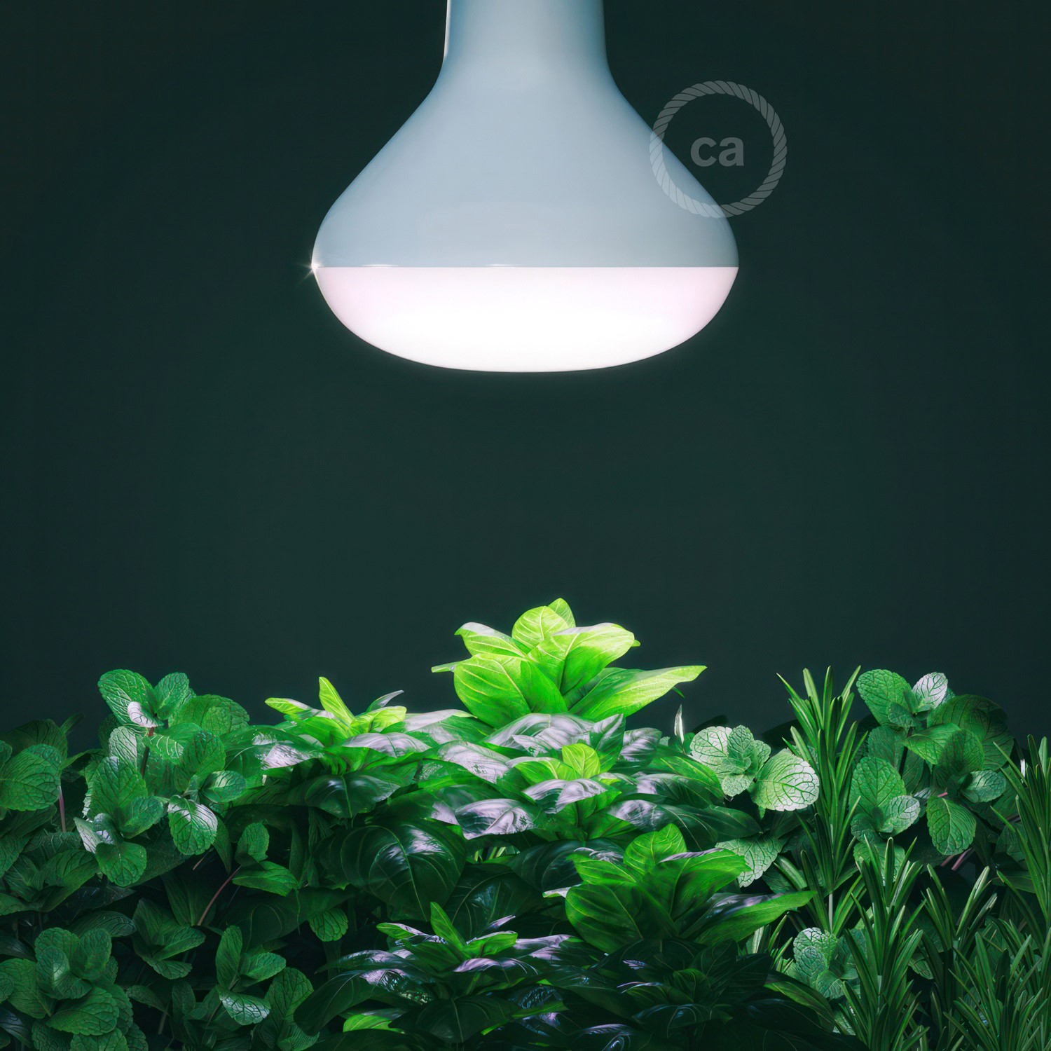 Növények növekedését segítő LED izzó 12W E27