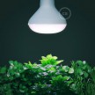 Növények növekedését segítő LED izzó 12W E27