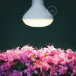 Növények virágzását segítő LED izzó 12W E27