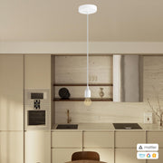 PENDEL CONFIG MATTER 10040